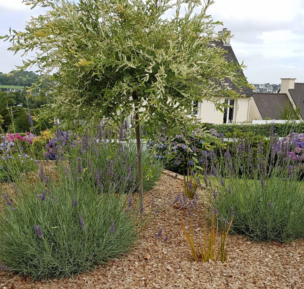 jardin-de-nicolas-entretien-jardin