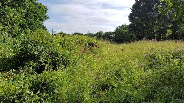 jardin-de-nicolas-débroussaillage