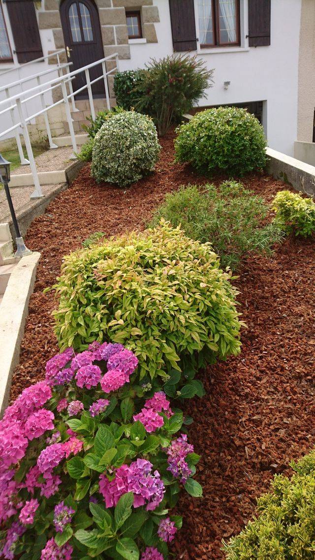 jardin-de-nicolas-création-jardinage