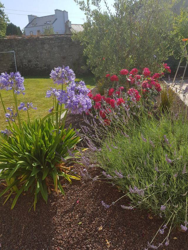 jardin-de-nicolas-coin-jardin