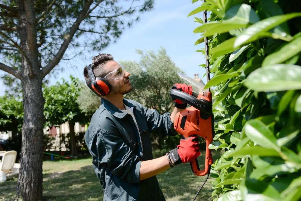 Entretien de jardin près de Porspoder