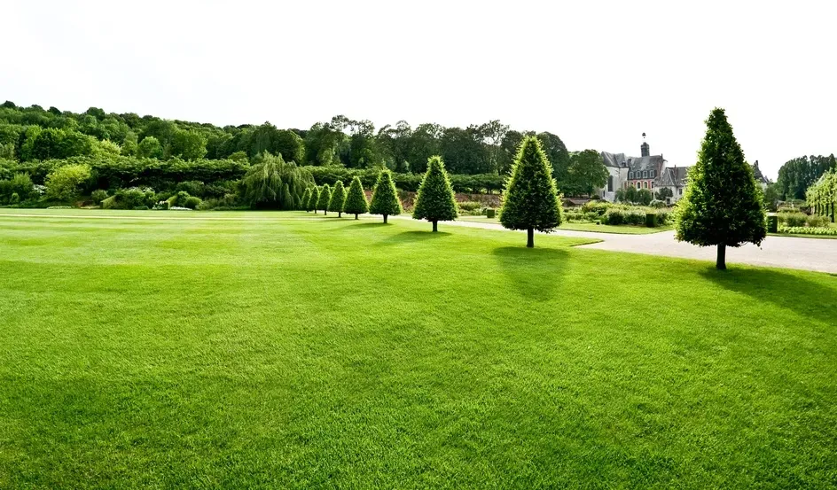 Débroussaillage près de Porspoder