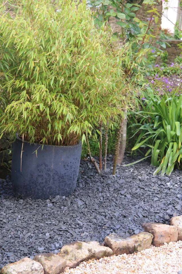 Le jardin de nicolas realisations (6)