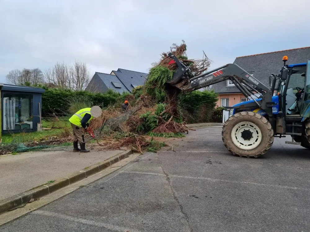 Le jardin de nicolas realisations (9)