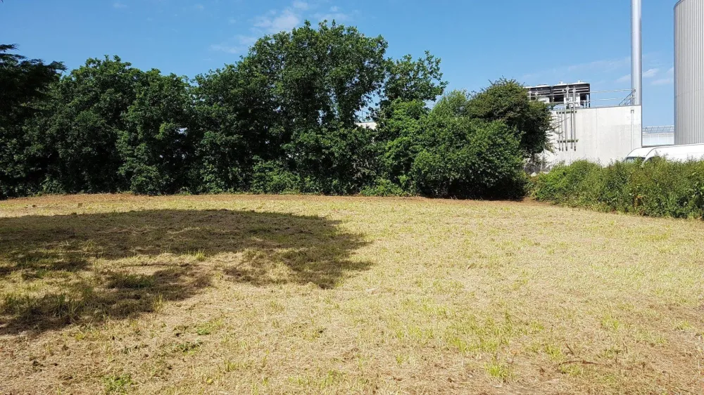 Le jardin de nicolas realisations (10)