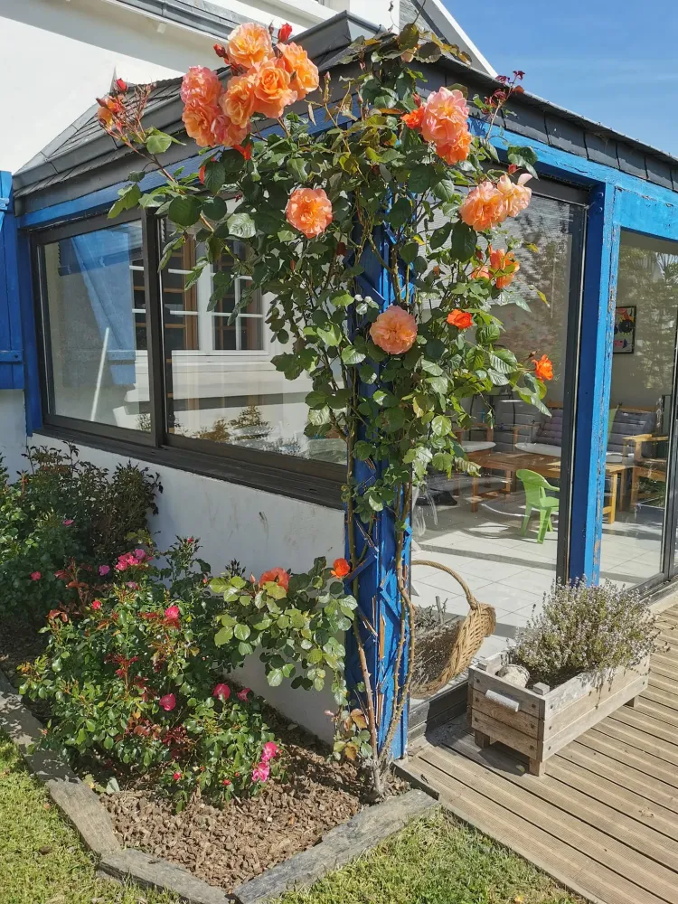 jardin nicolas realisations (3)