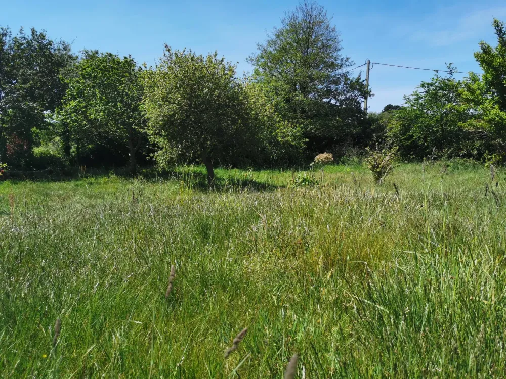 jardin nicolas realisations (4)