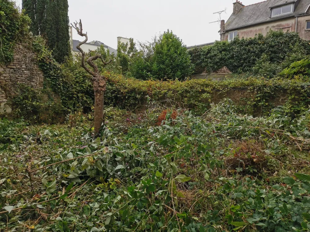 jardin nicolas realisations (5)