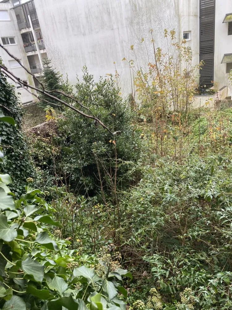 jardin nicolas realisations (12)